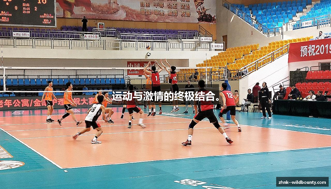 运动与激情的终极结合。